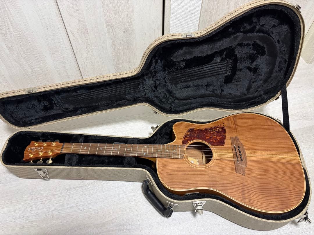 ギター UIUI ColeClark FL2EC RDBW FatLady2