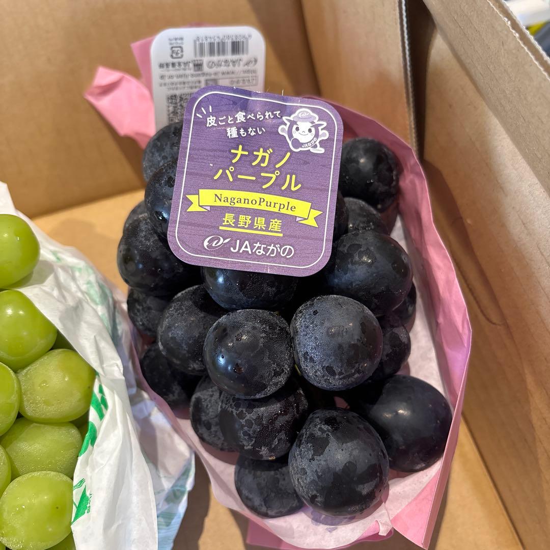 momo106様 長野三姉妹 しょうがの佃煮5