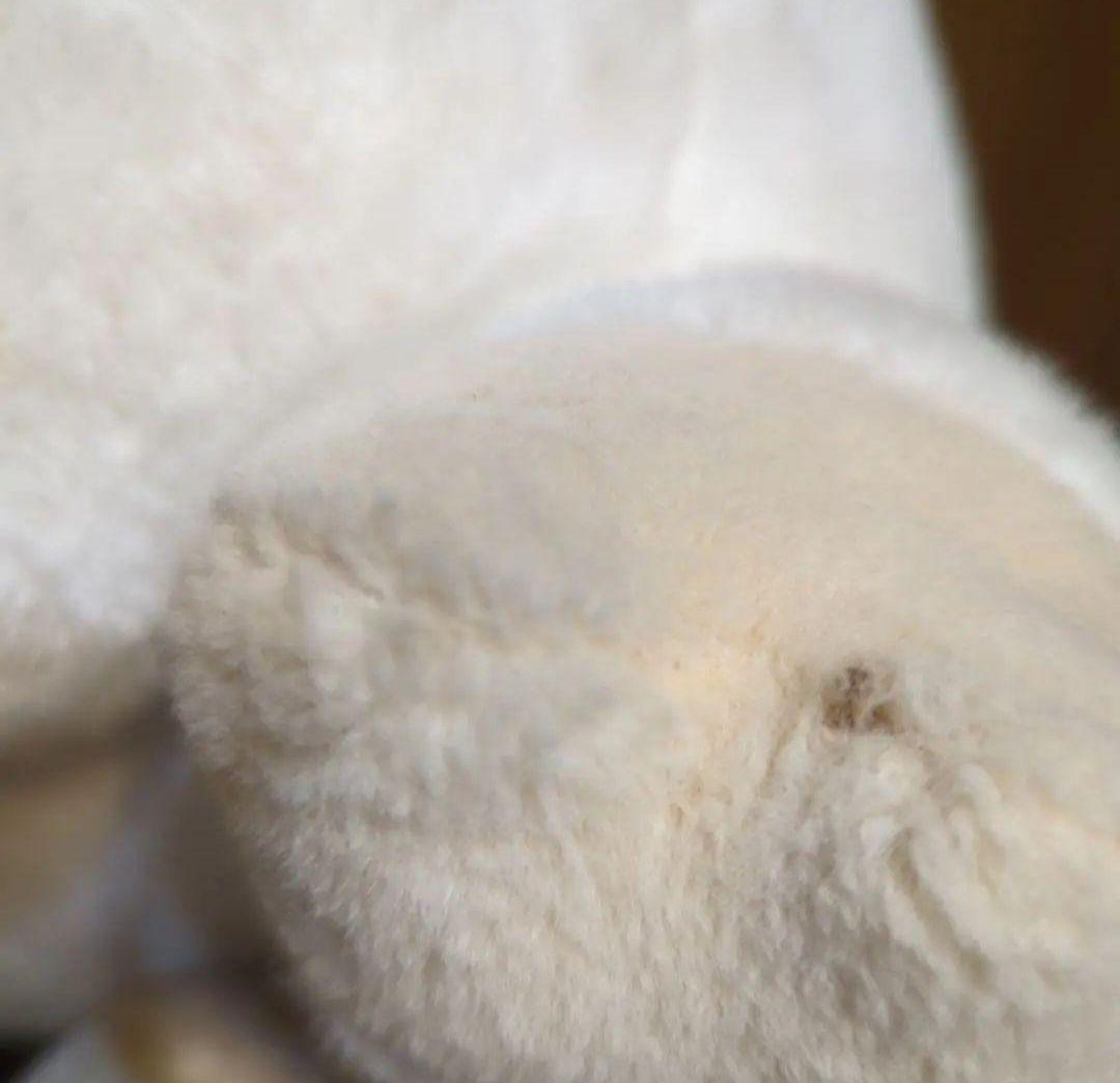 #白くてかわいいもの・heart&heart 豚のぬいぐるみ ナカジマ昭和レトロ