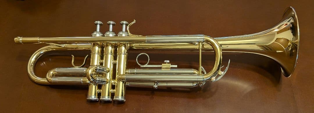 トランペット 入門 初心者 サイレンサー セット ゴールド 楽器 管楽器