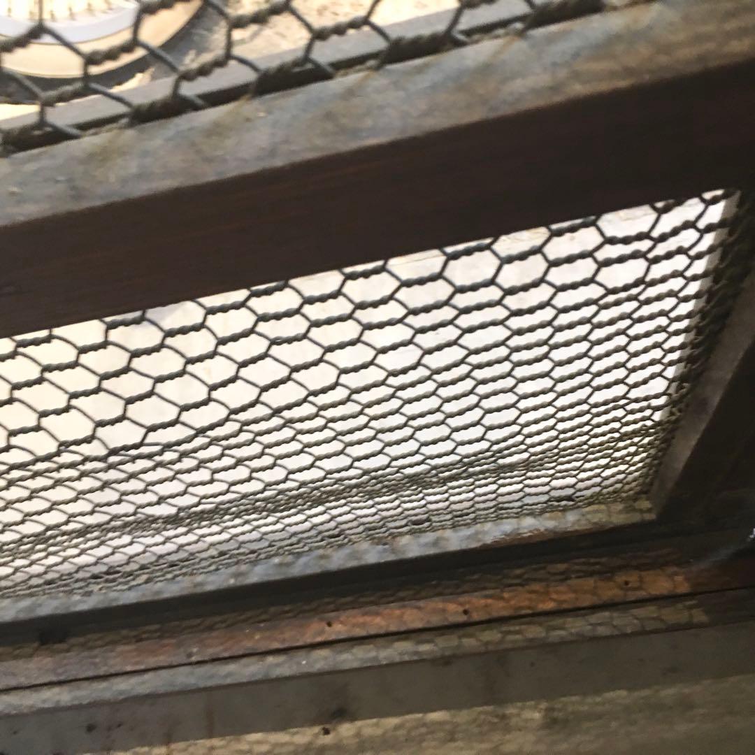 蔵戸 古民具 網付き 建具 昭和レトロ 扉