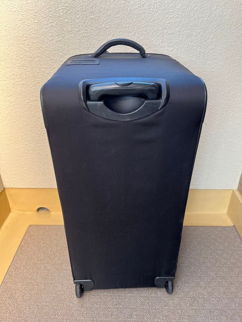 【非売品】ECCO シューズ用キャリーケース エコー 〈非売品〉