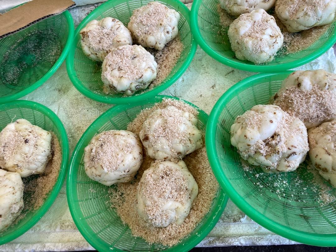 ゆりね　百合根　ゆり根　２Lサイズ33個入り ５k 北海道産