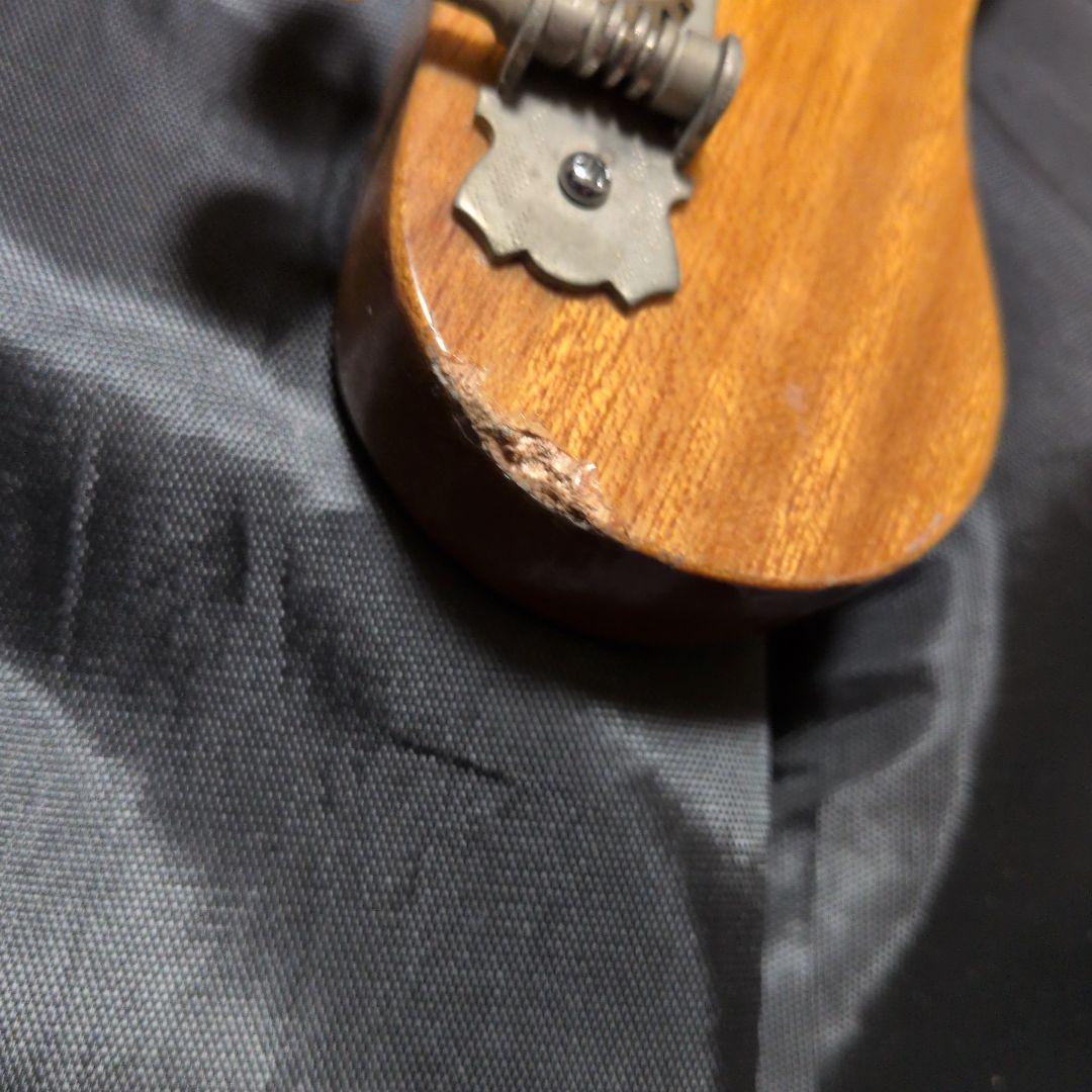 キングオブビザール！！ エレキギター☆テスコデルレイ！