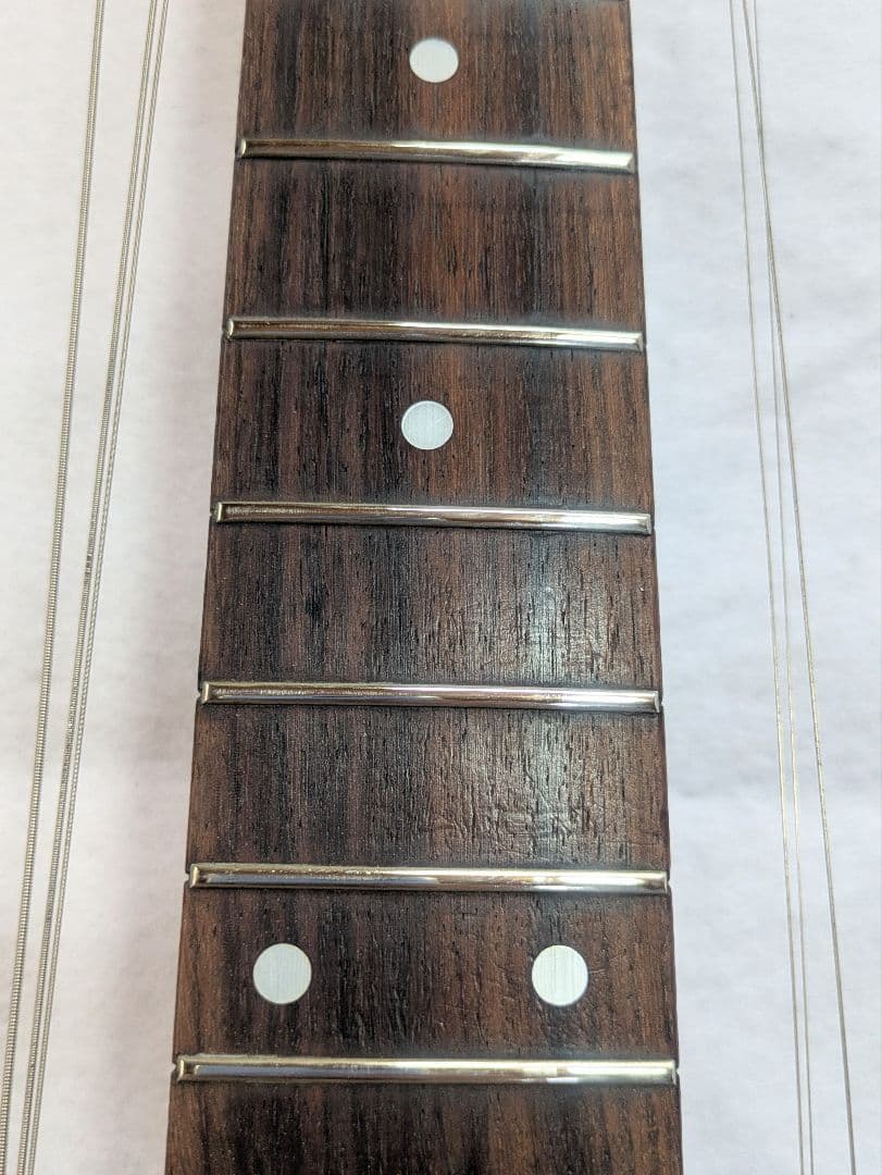 フライングV　マイケルシェンカータイプ　多分Tomson 送料無料