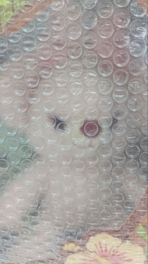 2016 ユニベアシティ スティッチ、エンジェル、スクランプセット