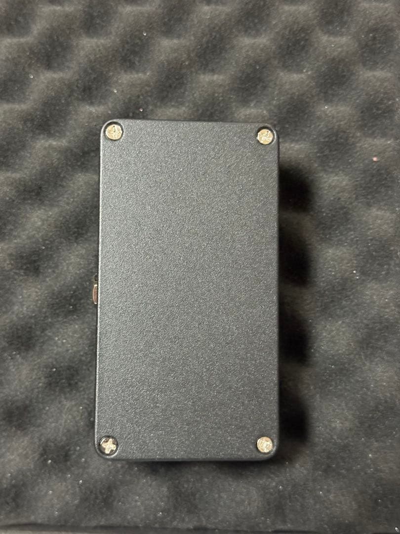 ギター Animals Pedal Custom Illustrated CCV