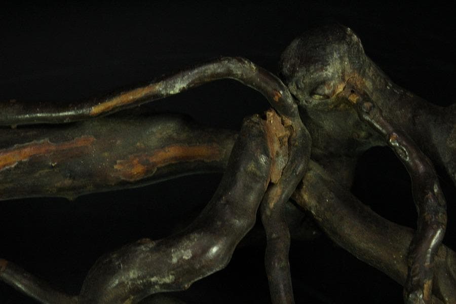 奇木 時代 根木 飾り台 自然木 55cmx30cm(K-RC951)