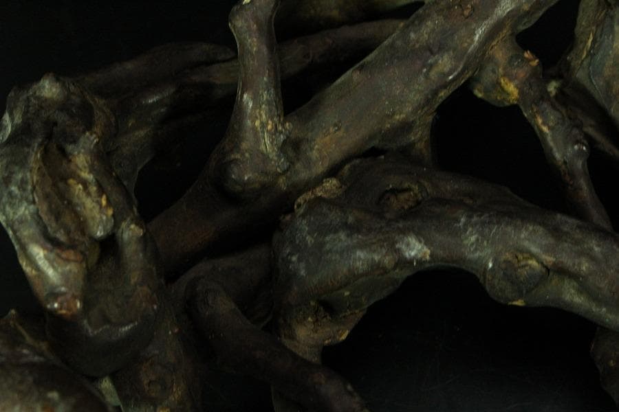 奇木 時代 根木 飾り台 自然木 55cmx30cm(K-RC951)