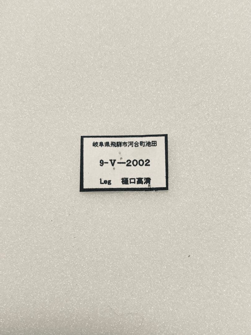 【1ペア】ギフチョウ（滋賀県、岐阜県産）