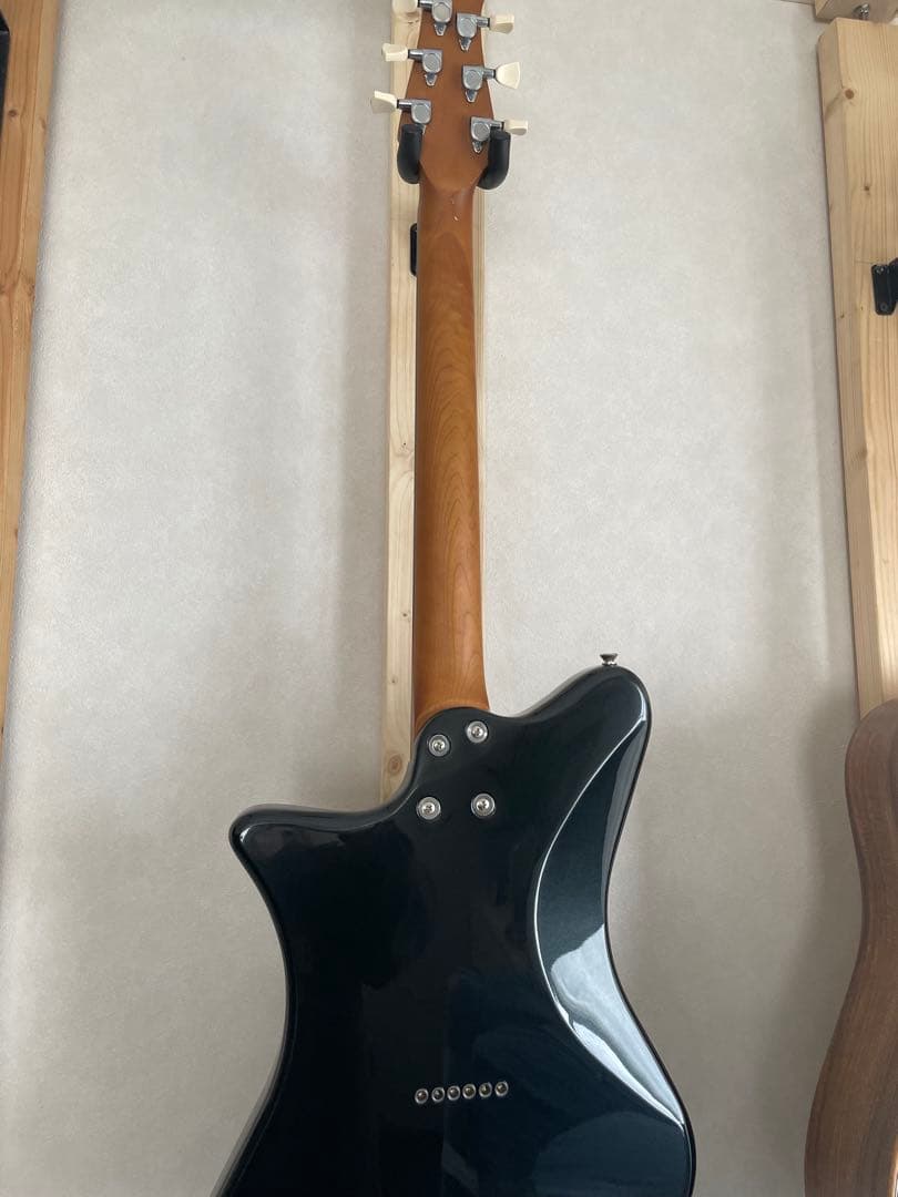 【保証書•純正ソフトケース】RYOGA SKATER/LE LBK