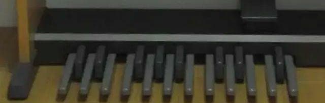 ELB-01 ステージア　ミニ 送料込み（離島除く）