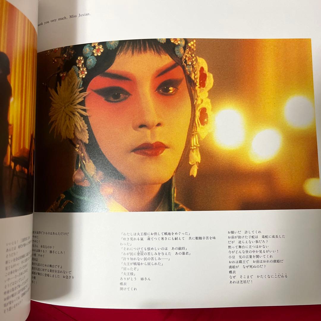 レスリー・チャン　さらば、わが愛 覇王別姫　韓国限定カード　廃盤　写真集　パンフ