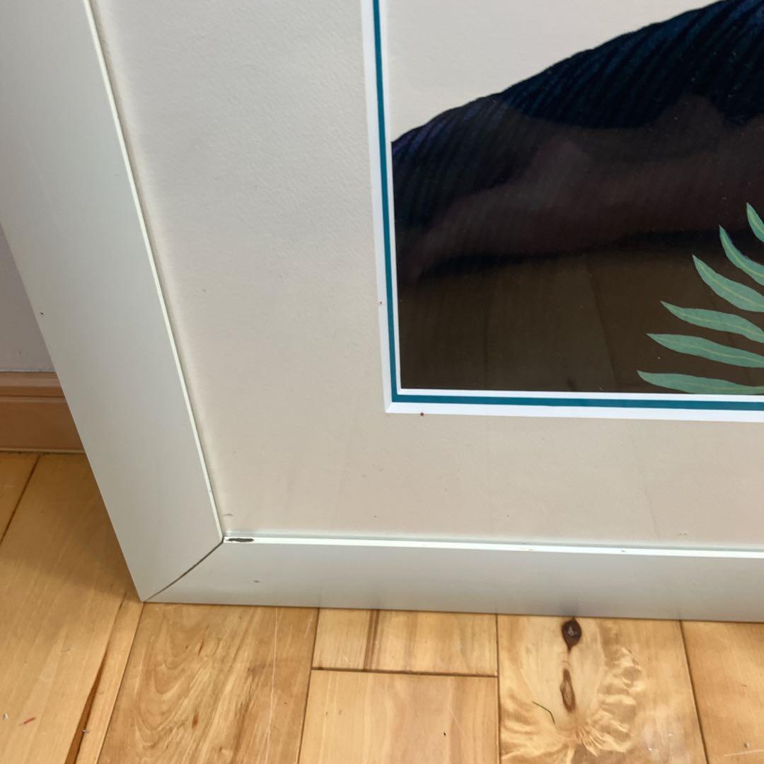 希少　ジョアン フック 絵画　リトグラフ　熱帯の動物たち　235/900