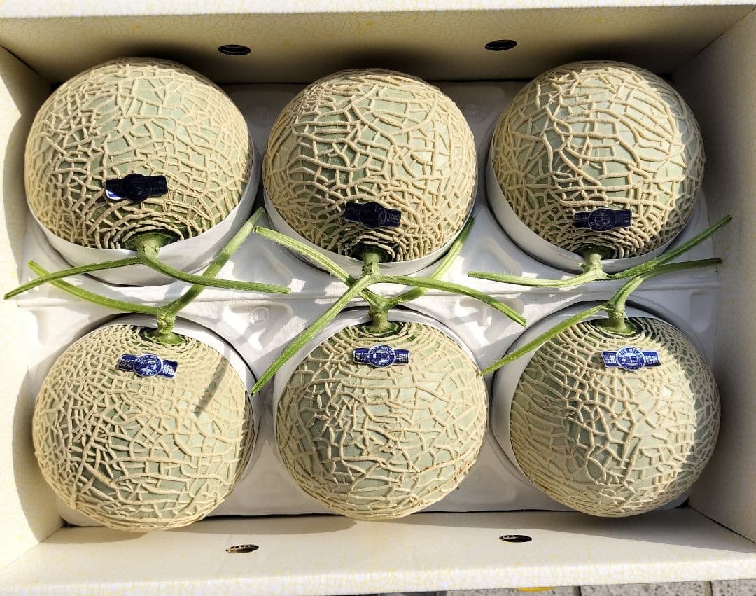 D*＋様 高知産　訳あり温室マスクメロン　６玉入7.2kg 家庭用　北海道沖縄発