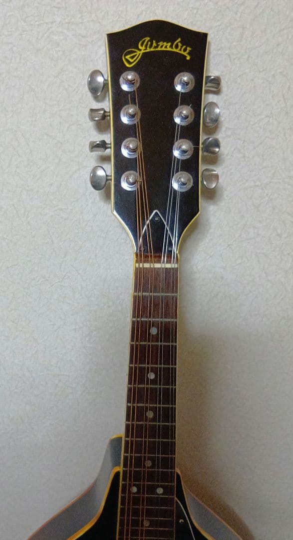 JUNBOフラットマンドリンハードケース付き