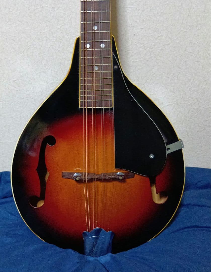 JUNBOフラットマンドリンハードケース付き