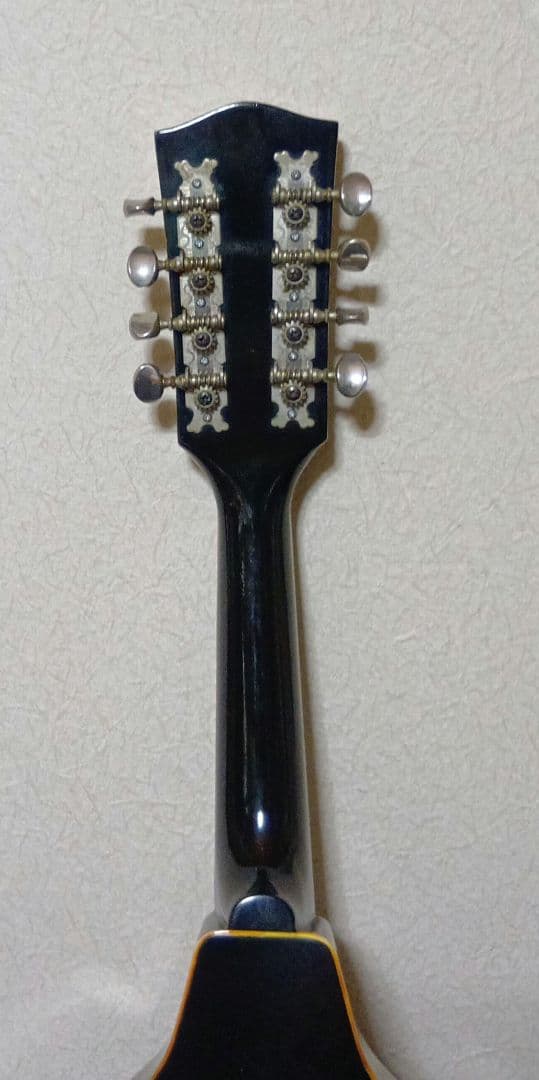 JUNBOフラットマンドリンハードケース付き